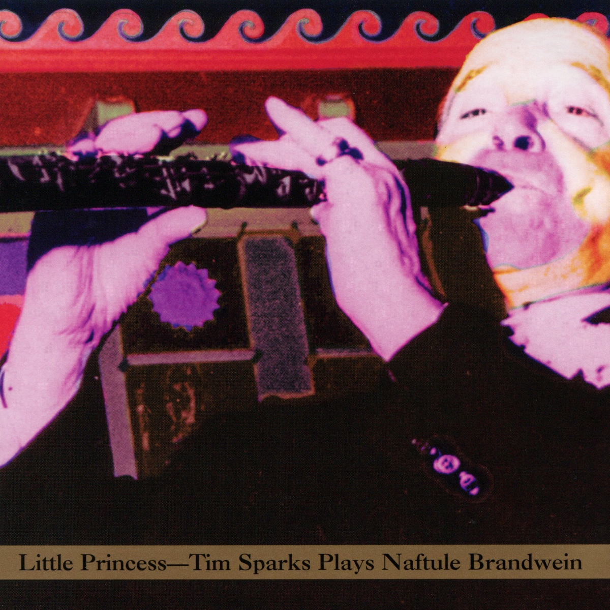 Little Princess - Tim Sparks Plays Naftule Brandwein.jpg